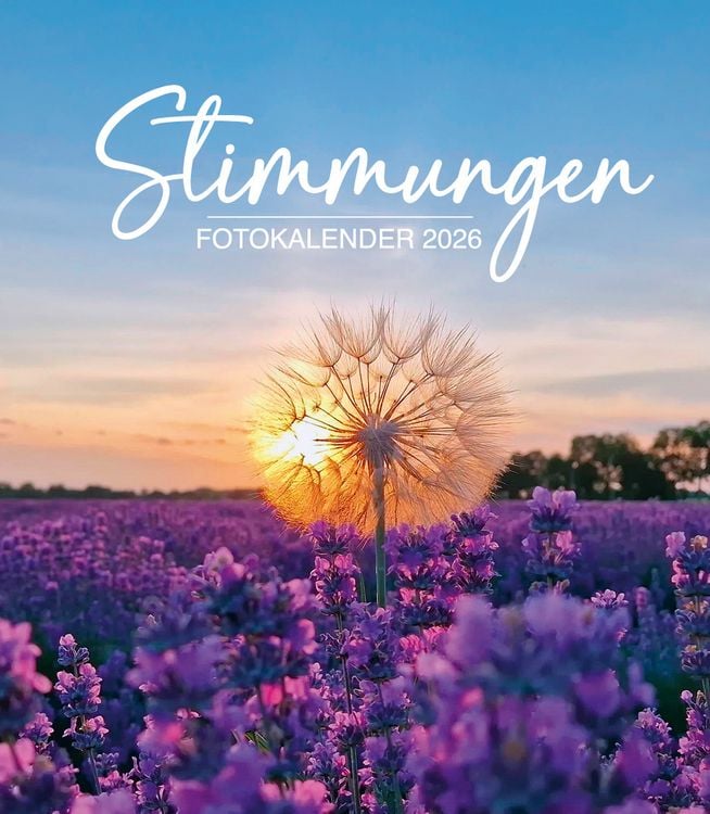 Produktbild: Diary Stimmungen 2026