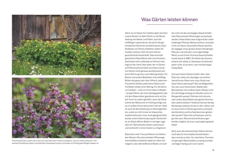 Produktbild: Bienenfreundlich G&auml;rtnern