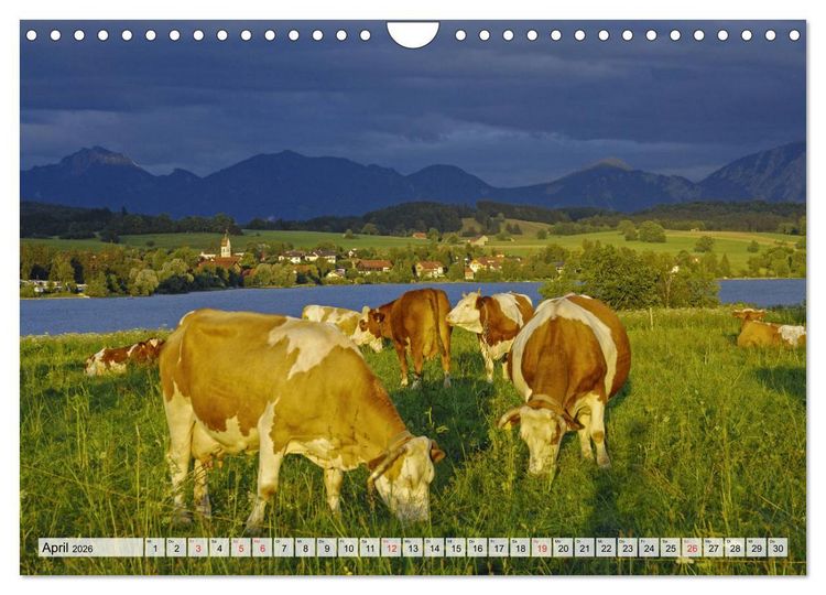 Produktbild: Das Blaue Land - Himmel, Seen und Berge im bayerischen Voralpenland (Wandkalender 2026 DIN A4 quer), CALVENDO Monatskalender