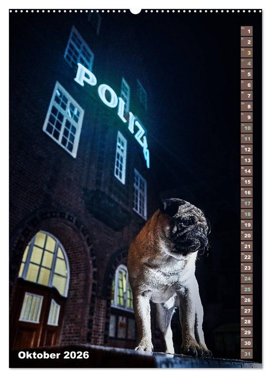 Produktbild: M&ouml;pse in Hamburg (Wandkalender 2026 DIN A2 hoch), CALVENDO Monatskalender