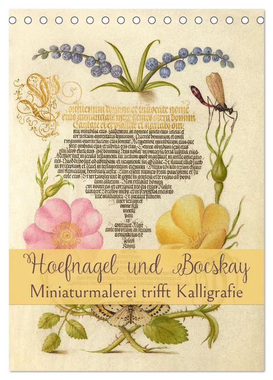 Produktbild: Hoefnagel und Bocskay - Miniaturmalerei trifft Kalligrafie (Tischkalender 2026 DIN A5 hoch), CALVENDO Monatskalender
