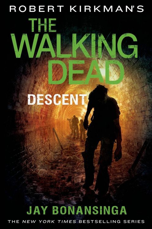 Produktbild: Robert Kirkman's The Walking Dead: Descent