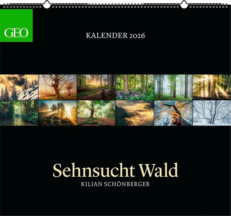 Produktbild: GEO Kalender: Sehnsucht Wald 2026 - Wand-Kalender - Natur-Kalender - 60x55