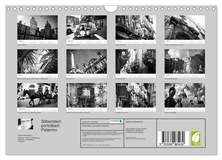 Produktbild: Silberstein portr&auml;tiert Palermo (Wandkalender 2027 DIN A4 quer), CALVENDO Monatskalender