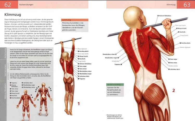 Produktbild: Das Anatomie-Buch der Fitness