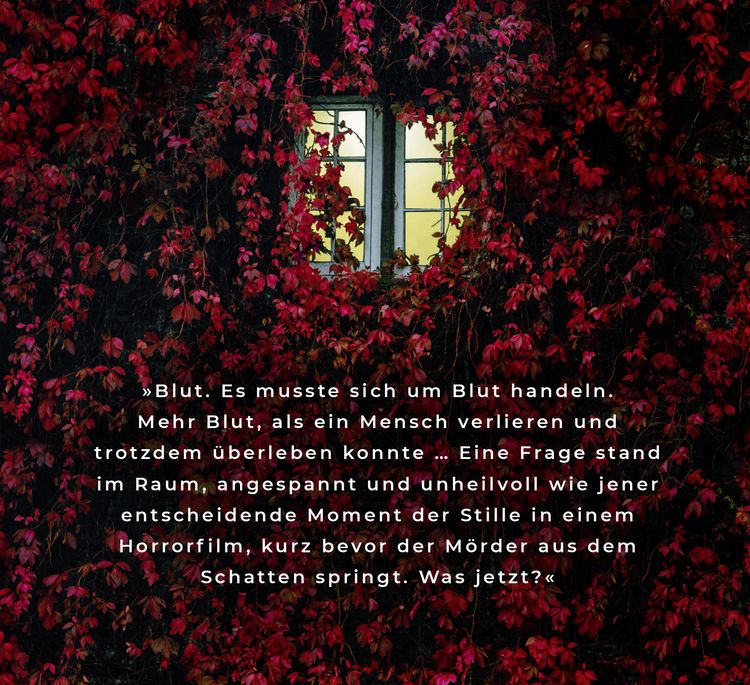 Produktbild: Gib mir deine Angst