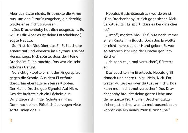 Produktbild: Retter der Drachen &ndash; Erwecke das Feuer! (Retter der Drachen 2)