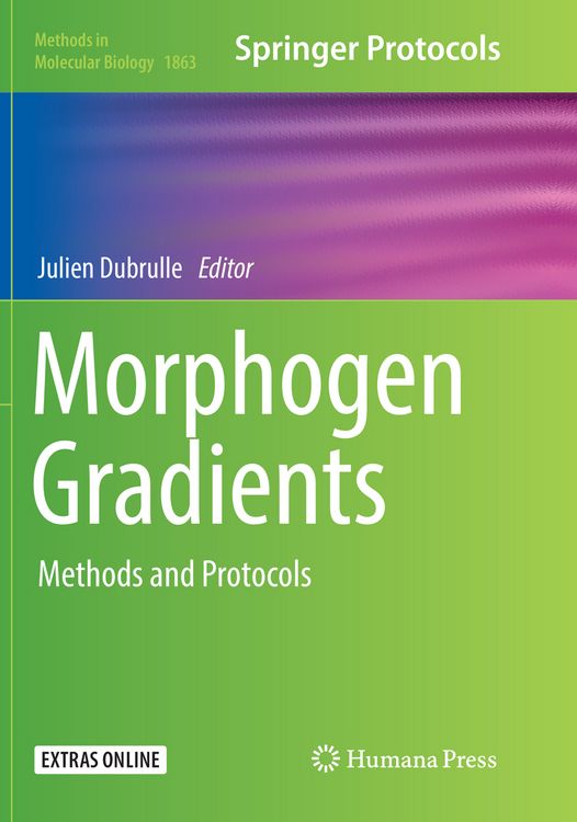 Produktbild: Morphogen Gradients