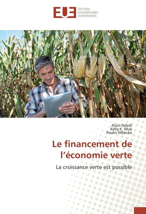 Produktbild: Le financement de l'&eacute;conomie verte