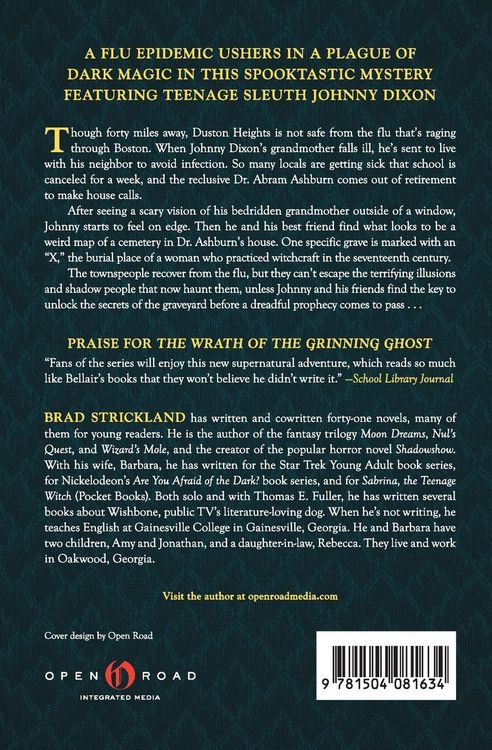Produktbild: The Stone, the Cipher, and the Shadows
