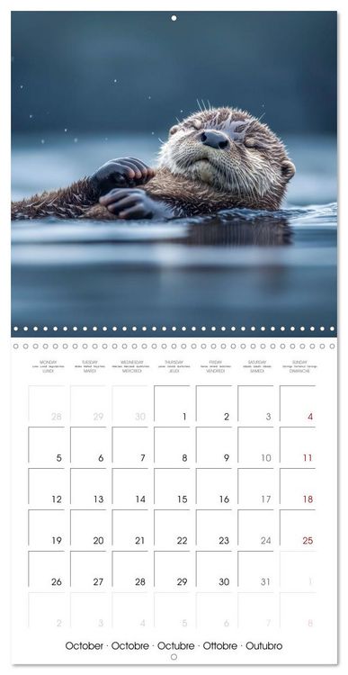 Produktbild: Cute Otter Moments (Wall Calendar 2026 12 &times; 12 Inch) CALVENDO 12 Month Wall Calendar