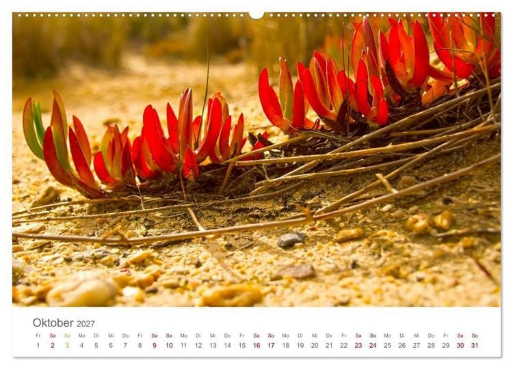 Produktbild: Alentejo Portugal - K&uuml;stenimpressionen (Wandkalender 2027 DIN A2 quer), CALVENDO Monatskalender