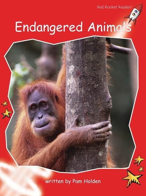 Produktbild: Endangered Animals Big Book Edition