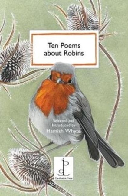 Produktbild: Ten Poems about Robins