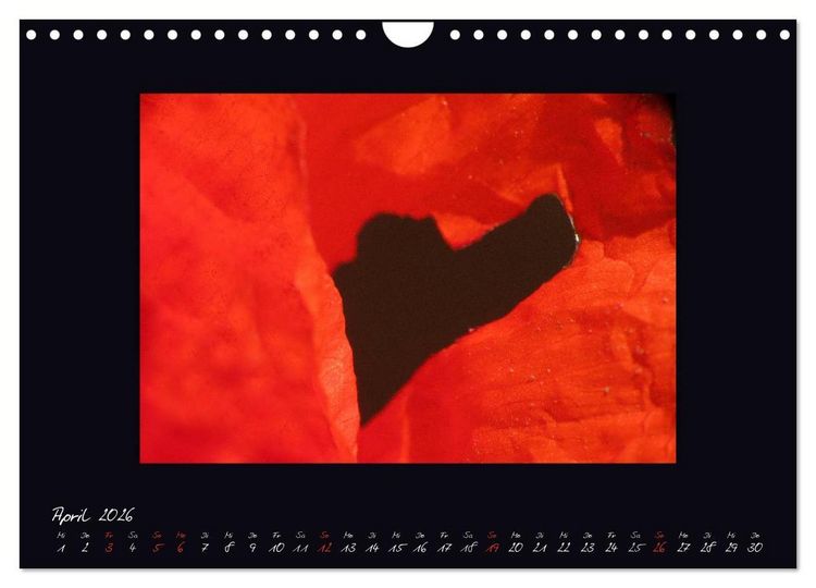 Produktbild: MOHNographie (Wandkalender 2026 DIN A4 quer), CALVENDO Monatskalender