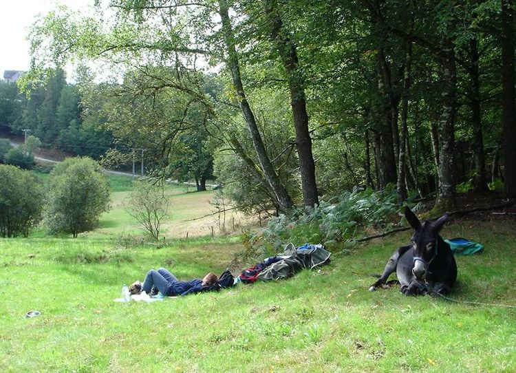 Produktbild: Esel - Wanderungen im Limousin