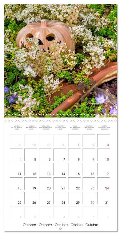 Produktbild: Harriette`s sweet garden (Wall Calendar 2027 12 &times; 12 Inch) CALVENDO 12 Month Wall Calendar