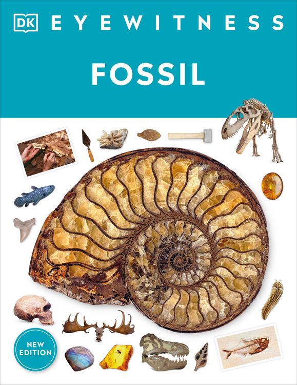 Produktbild: Fossil