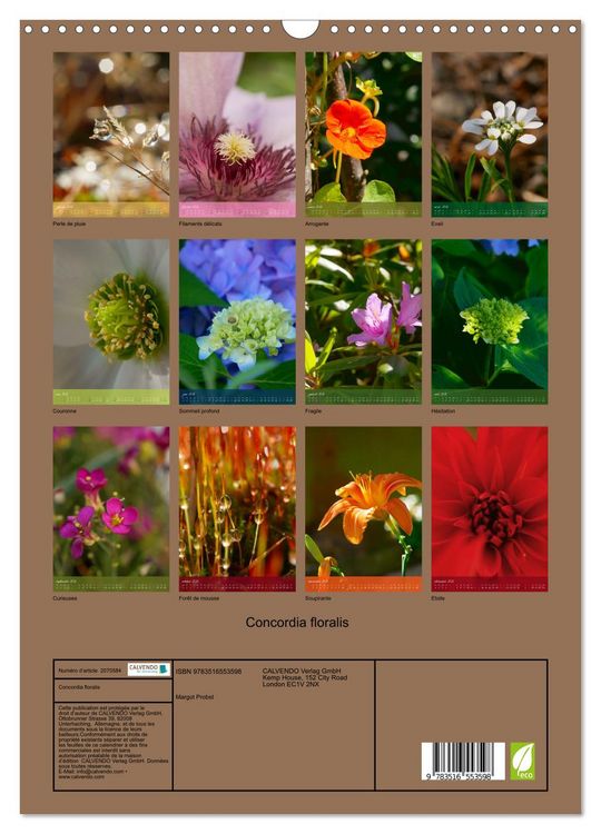 Produktbild: Concordia floralis (Calendrier mural 2026 DIN A3 horizontal), CALVENDO calendrier mensuel