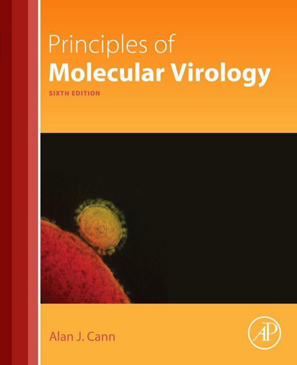 Produktbild: Principles of Molecular Virology