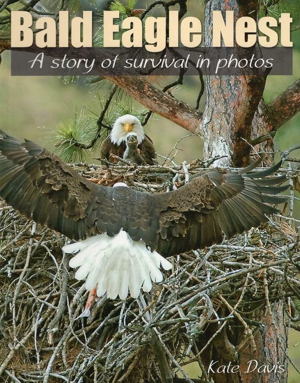 Produktbild: Bald Eagle Nest