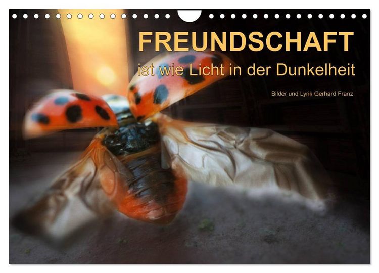 Produktbild: Freundschaft (Wandkalender 2026 DIN A4 quer), CALVENDO Monatskalender