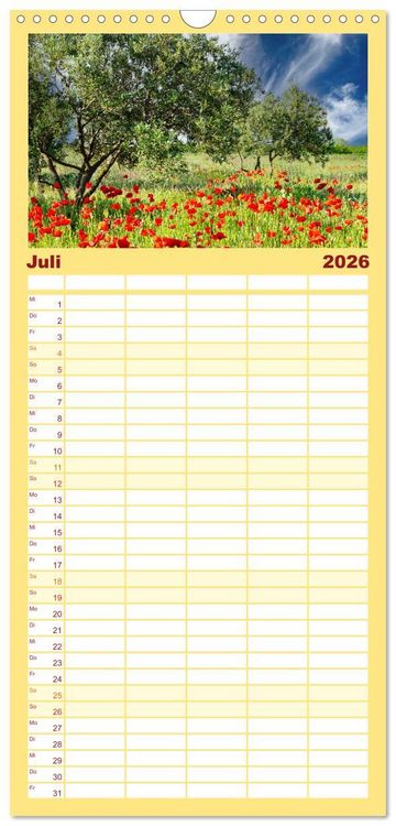 Produktbild: Familienplaner 2026 - Provence. Licht und Lebensfreude mit 5 Spalten (Wandkalender, 21 x 45 cm) CALVENDO