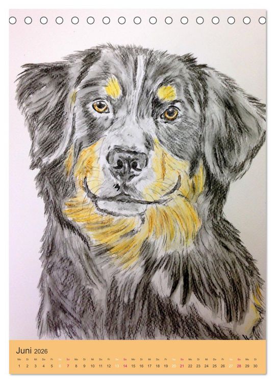 Produktbild: Hunde - Bezaubernde Portraitzeichnungen (Tischkalender 2026 DIN A5 hoch), CALVENDO Monatskalender