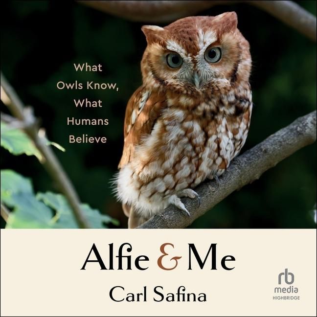 Produktbild: Alfie and Me