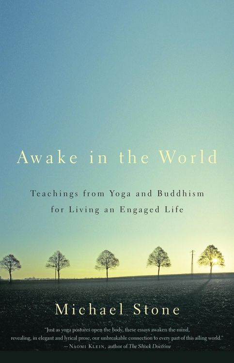Produktbild: Awake in the World