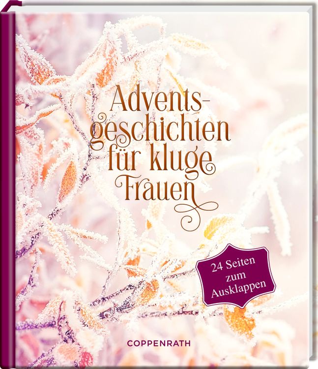 Bild vom Artikel Adventsgeschichten für kluge Frauen vom Autor 