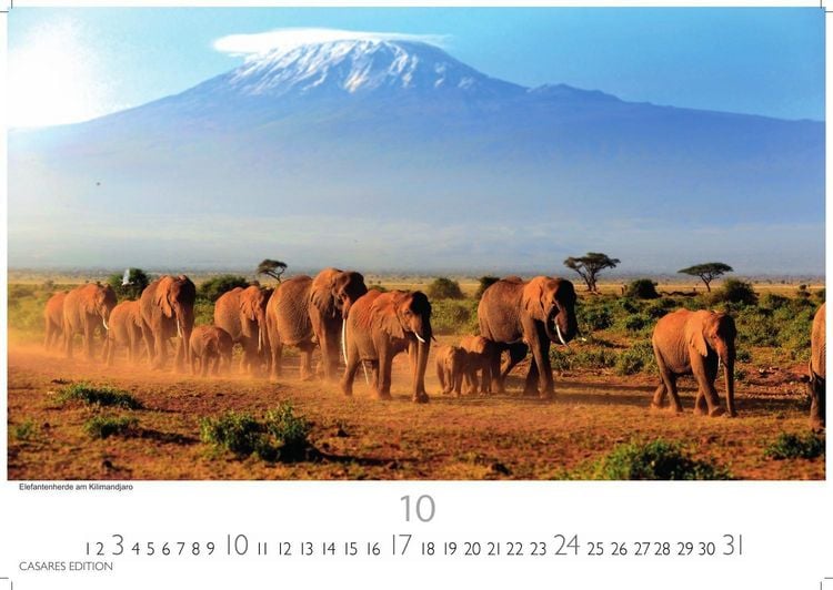 Produktbild: Kenia & Serengheti Kalender 2027 &ndash; Wandkalender | Fotokalender Afrika 24x35cm &ndash; Wundersch&ouml;ne Tierkalender- und Naturschutzfotos.