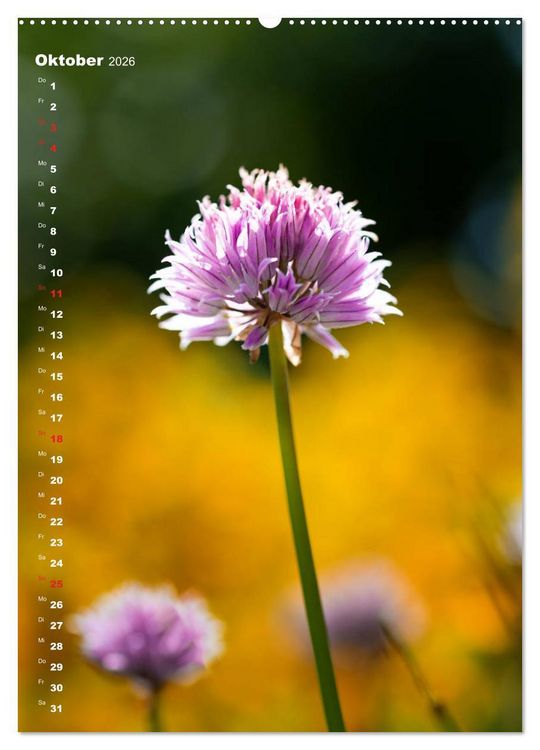 Produktbild: Colors of Nature (hochwertiger Premium Wandkalender 2026 DIN A2 hoch), Kunstdruck in Hochglanz