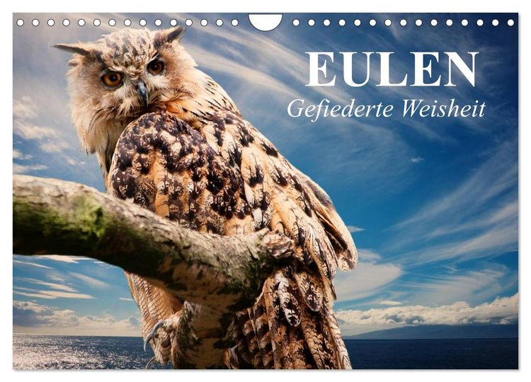 Produktbild: Eulen. Gefiederte Weisheit (Wandkalender 2026 DIN A4 quer), CALVENDO Monatskalender