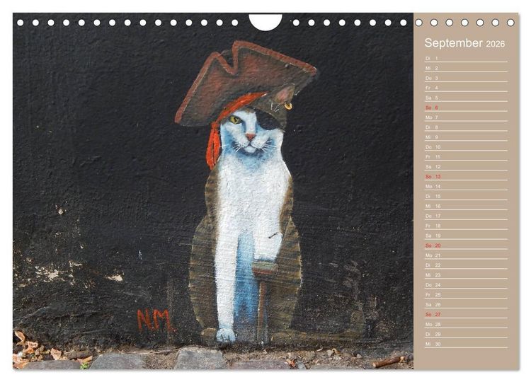 Produktbild: Flensburger Katzen (Wandkalender 2026 DIN A4 quer), CALVENDO Monatskalender
