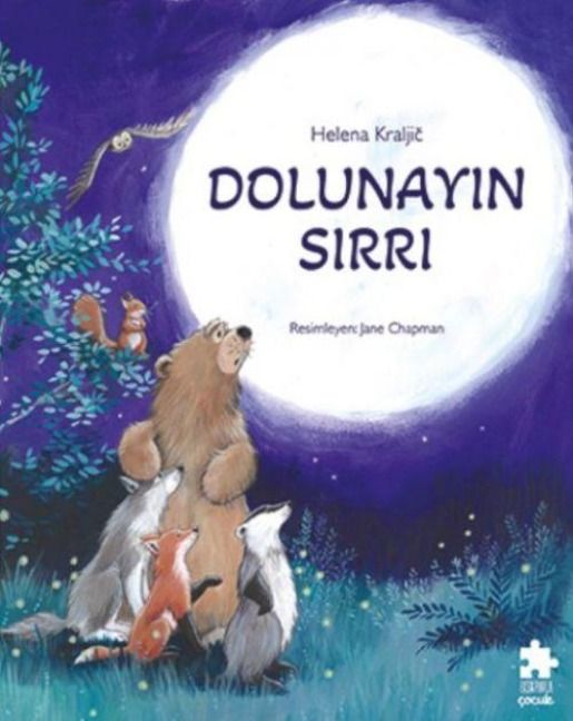 Produktbild: Dolunayin Sirri