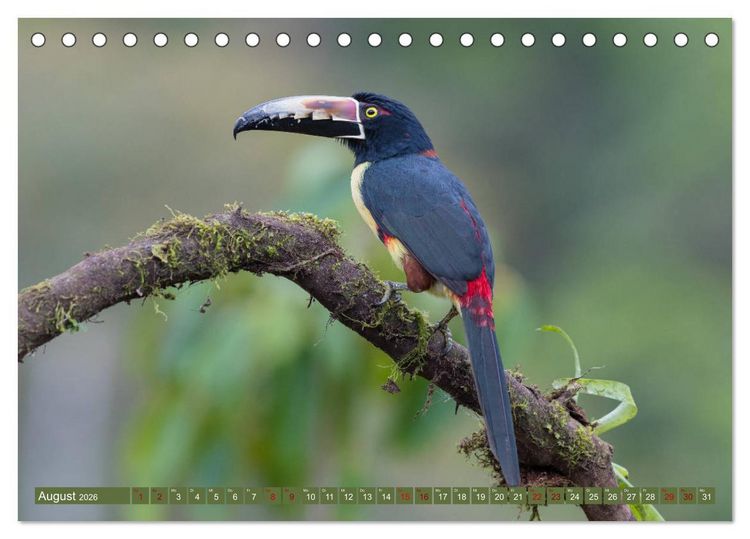 Produktbild: Farbenfrohes Costa Rica (Tischkalender 2026 DIN A5 quer), CALVENDO Monatskalender