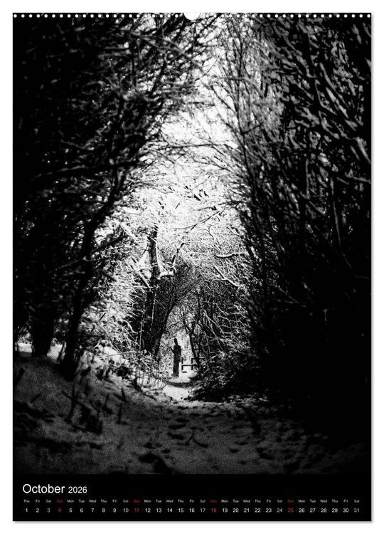 Produktbild: Journeys - Black & White (High Quality Premium Wall Calendar 2026 DIN A2 portrait),CALVENDO 12 Month Wall Calendar
