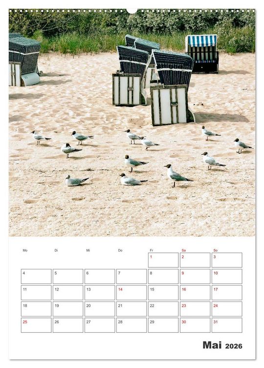 Produktbild: Usedom - Terminplaner (Wandkalender 2026 DIN A2 hoch), CALVENDO Monatskalender