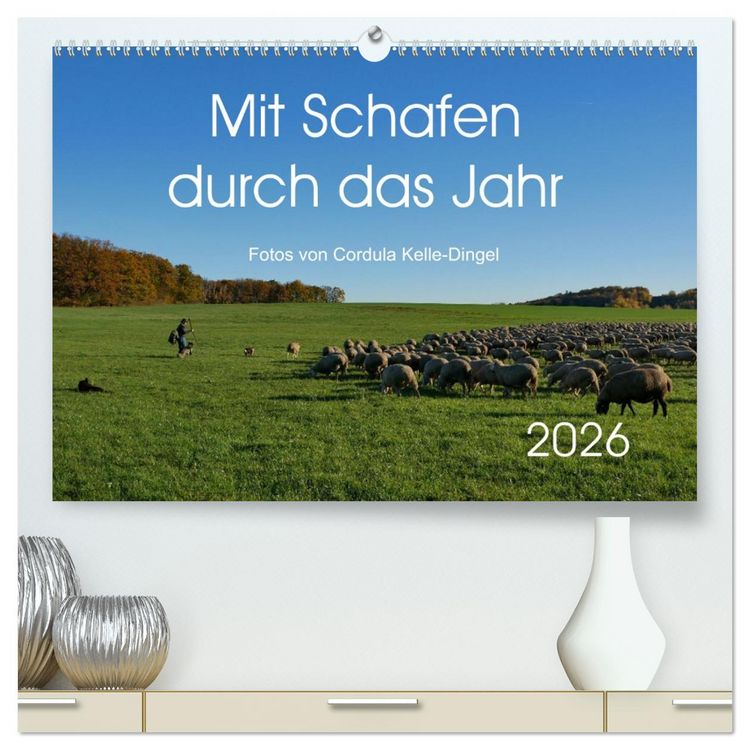 Produktbild: Mit Schafen durch das Jahr (hochwertiger Premium Wandkalender 2026 DIN A2 quer), Kunstdruck in Hochglanz