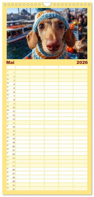 Produktbild: Familienplaner 2026 - Dackel auf gro&szlig;er Tour - S&uuml;&szlig;e Hunde entdecken die Welt mit 5 Spalten (Wandkalender, 21 x 45 cm) CALVENDO