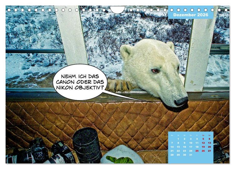 Produktbild: Lustige Eisb&auml;ren (Wandkalender 2026 DIN A4 quer), CALVENDO Monatskalender