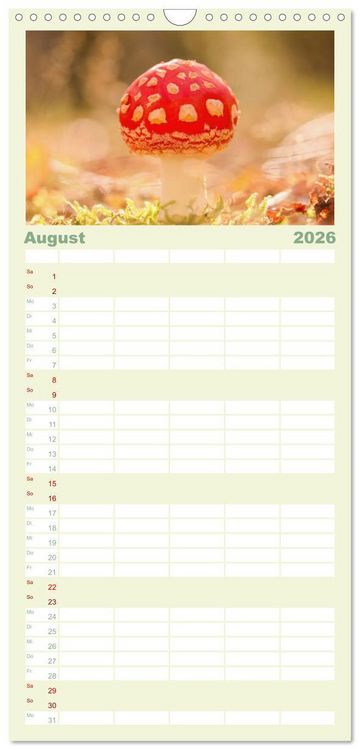 Produktbild: Familienplaner 2026 - Die Welt der Fliegenpilze mit 5 Spalten (Wandkalender, 21 x 45 cm) CALVENDO