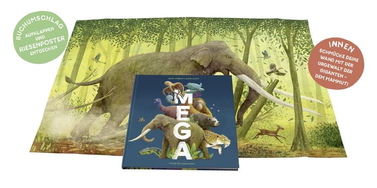 Produktbild: MEGA