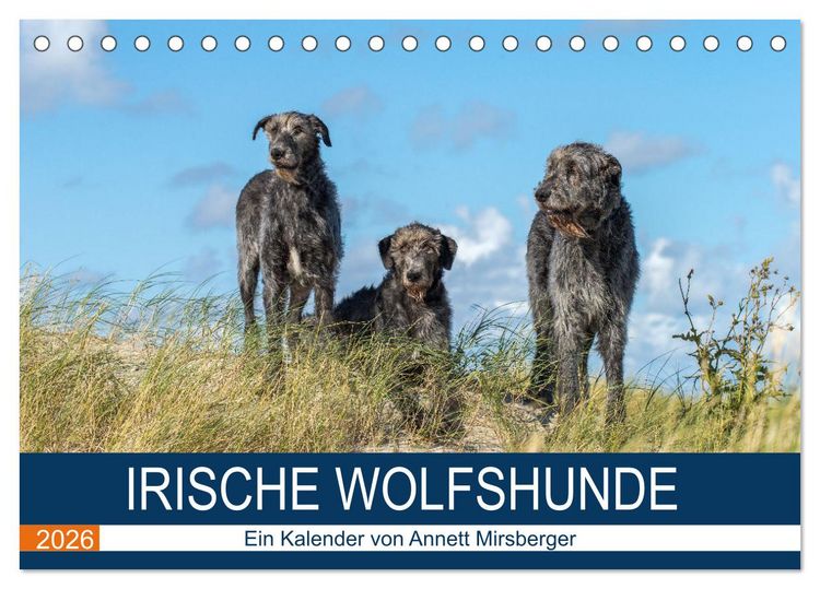 Produktbild: Irische Wolfshunde (Tischkalender 2026 DIN A5 quer), CALVENDO Monatskalender