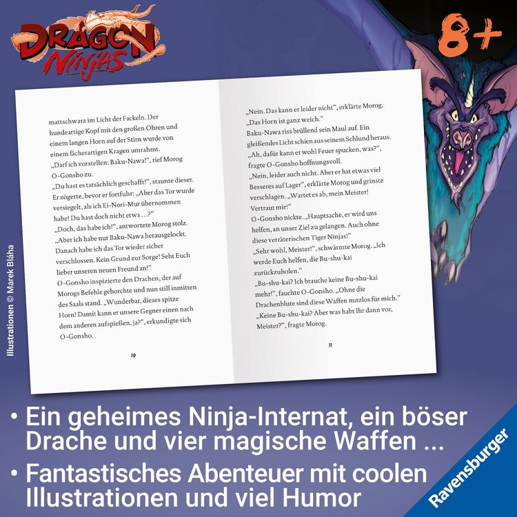 Produktbild: Dragon Ninjas, Band 5 - Der Drache der Schatten