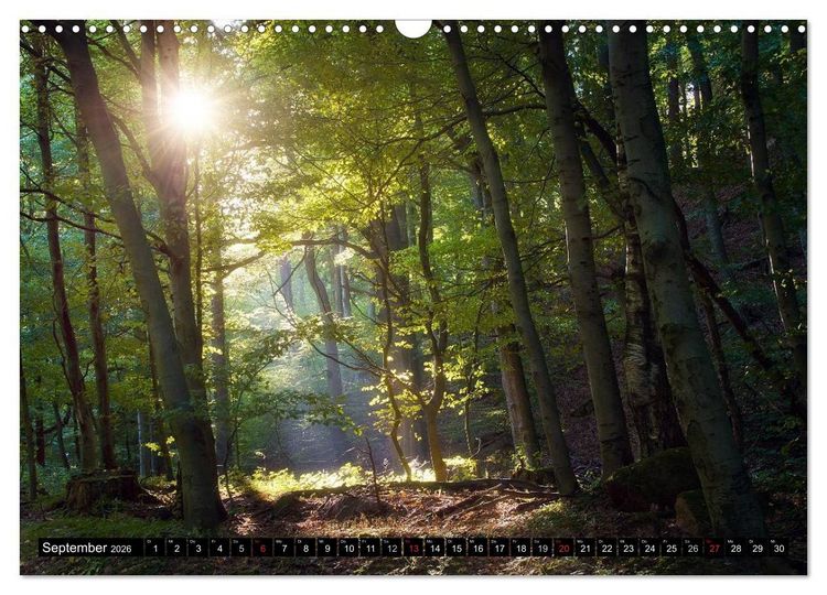 Produktbild: Zauberhafter Harz (Wandkalender 2026 DIN A3 quer), CALVENDO Monatskalender