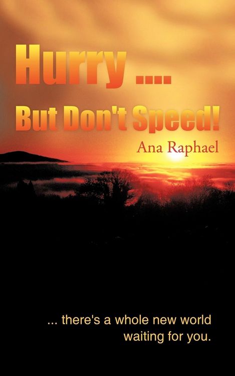 Produktbild: Hurry .... But Don't Speed!