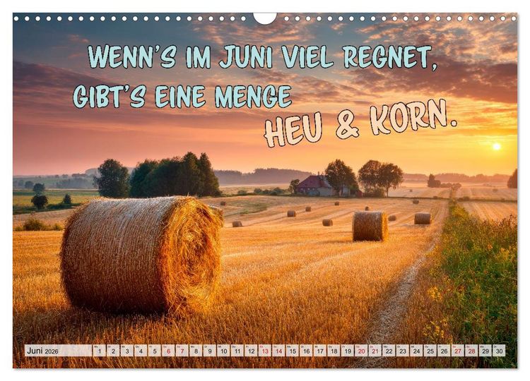 Produktbild: Bauernweisheiten - Stimmen der Natur (Wandkalender 2026 DIN A3 quer), CALVENDO Monatskalender