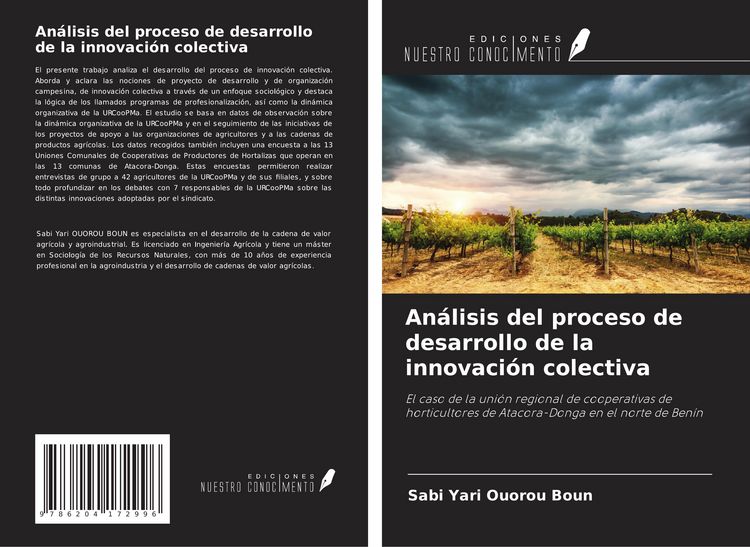 Produktbild: An&aacute;lisis del proceso de desarrollo de la innovaci&oacute;n colectiva